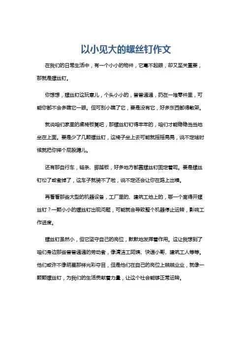 以小见大的螺丝钉作文
