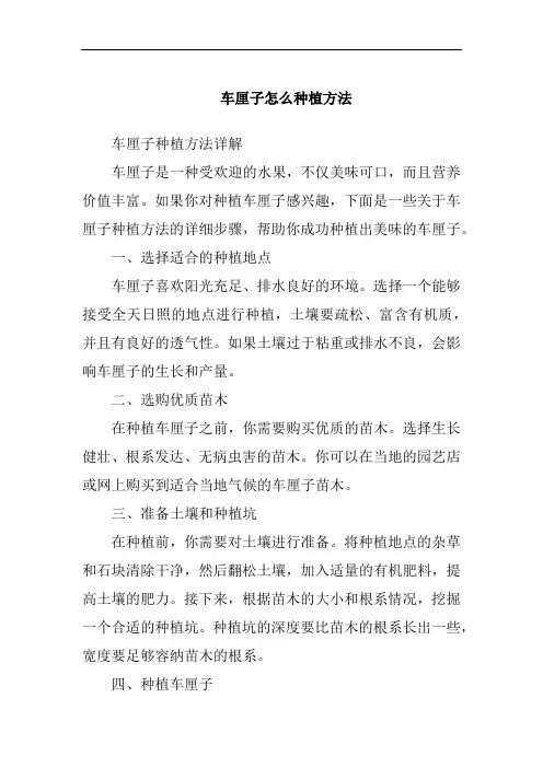 车厘子怎么种植方法