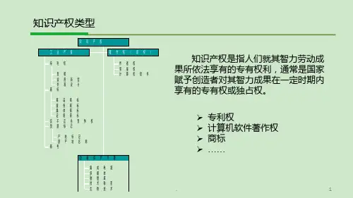 企业知识产权简介PPT课件