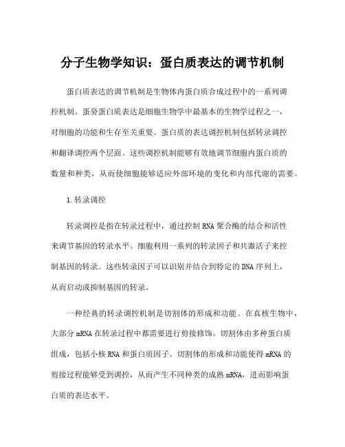 分子生物学知识：蛋白质表达的调节机制