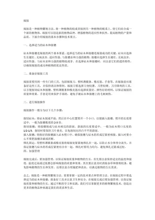 嫁接是什么