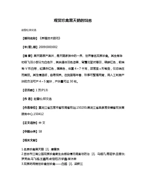 观赏珍禽黑天鹅的饲养