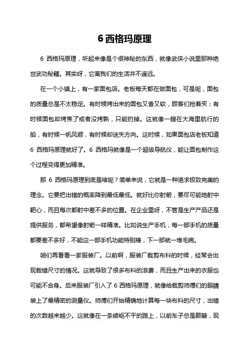 6西格玛原理