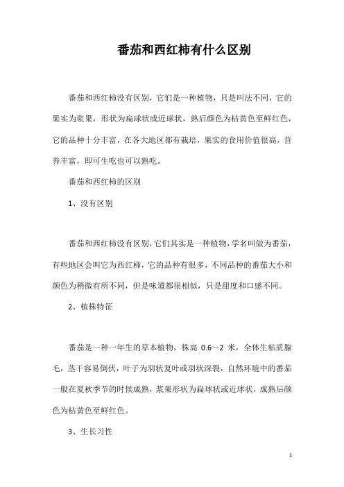 番茄和西红柿有什么区别