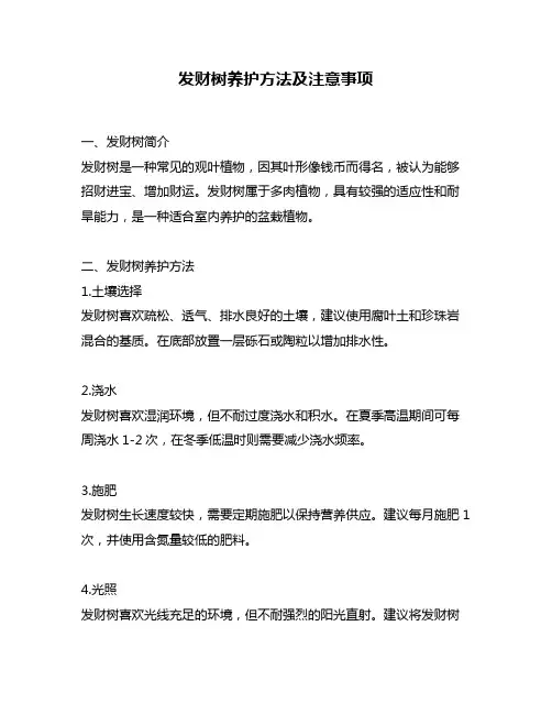 发财树养护方法及注意事项