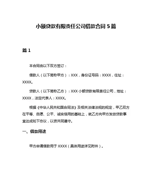 小额贷款有限责任公司借款合同5篇
