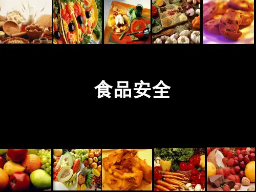 食品安全完整版