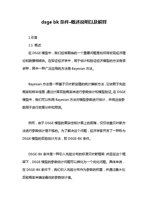 dsge bk条件-概述说明以及解释