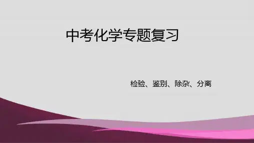 2020年 中考化学复习专题物质的鉴别、检验、除杂