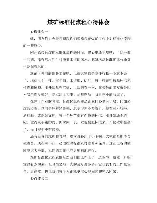 煤矿标准化流程心得体会