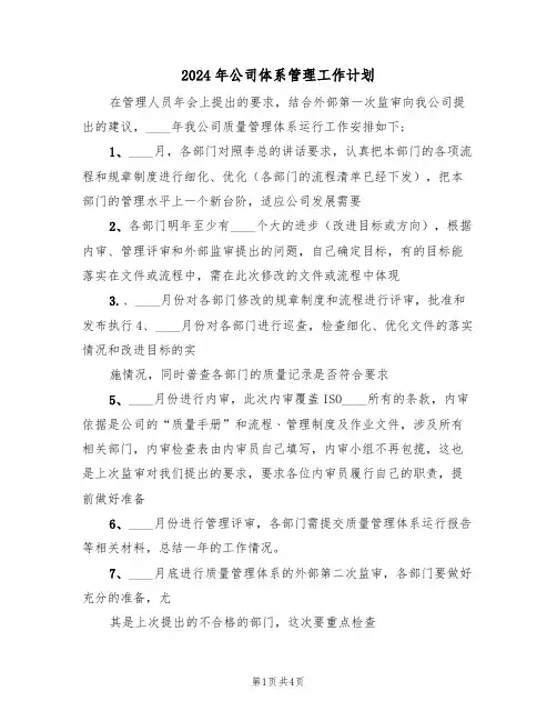 2024年公司体系管理工作计划（二篇）
