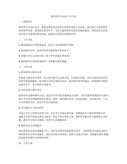 教师青年突击队工作计划