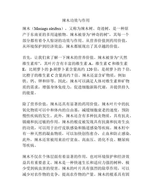 辣木功效与作用