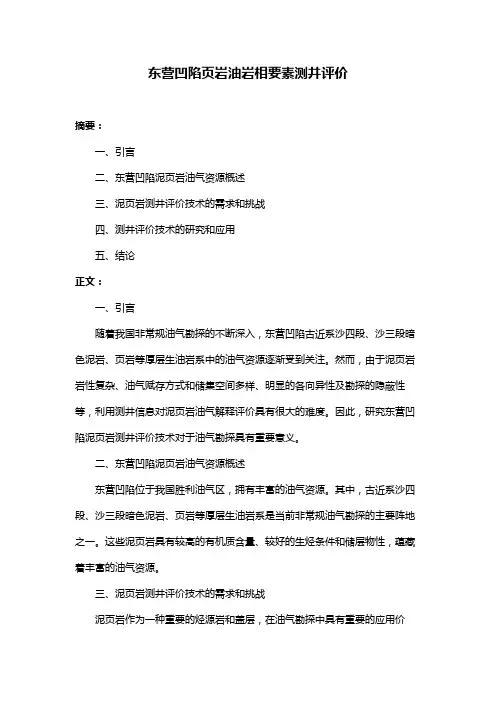 东营凹陷页岩油岩相要素测井评价