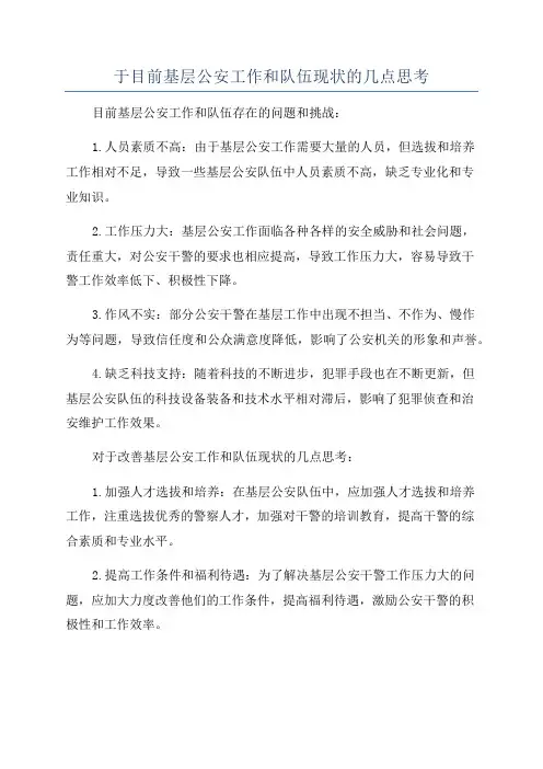 于目前基层公安工作和队伍现状的几点思考