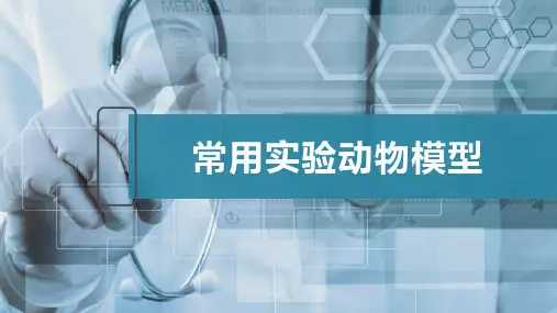 常用实验动物模型