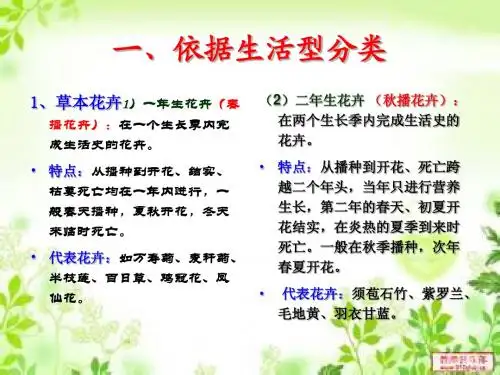 一、依据生活型分
