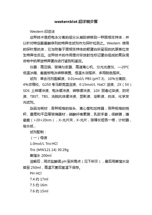 westernblot超详细步骤