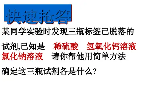 浙教版九级科学上册第一章复习