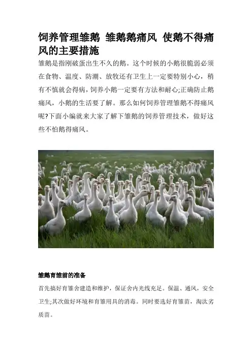 饲养管理雏鹅 雏鹅鹅痛风 使鹅不得痛风的主要措施