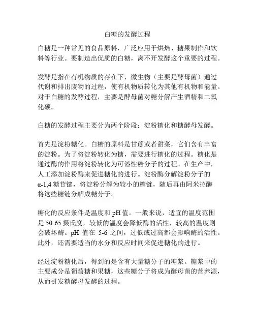 白糖的发酵过程