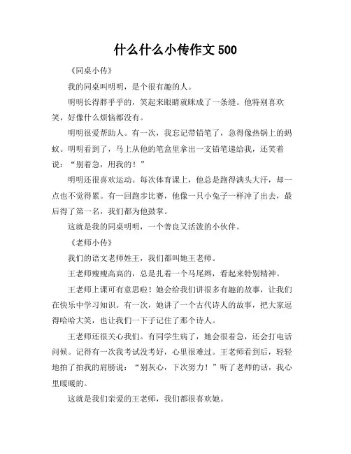 什么什么小传作文500