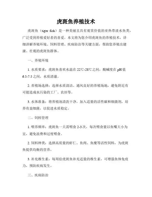 虎斑鱼养殖技术