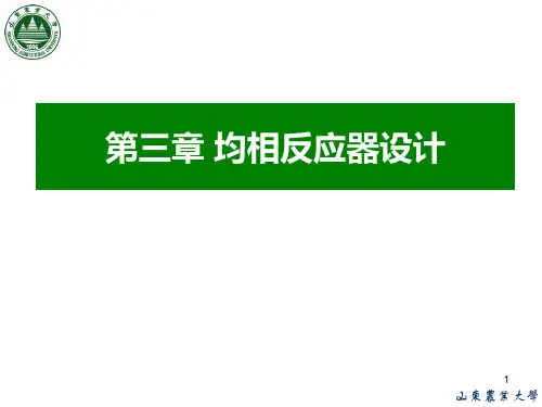 第三章 均相反应器的设计PPT课件