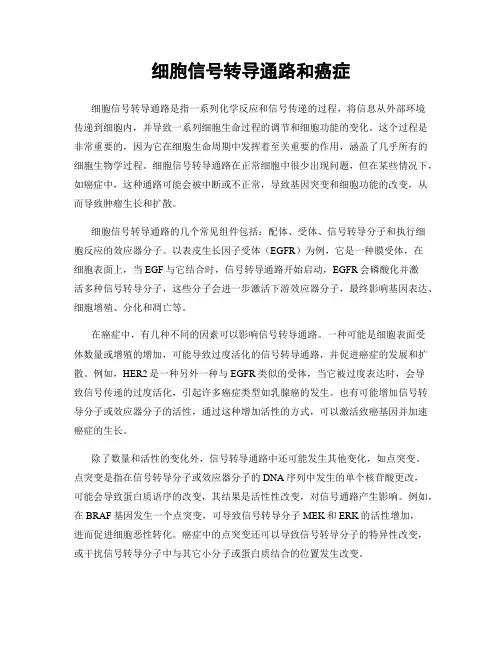 细胞信号转导通路和癌症
