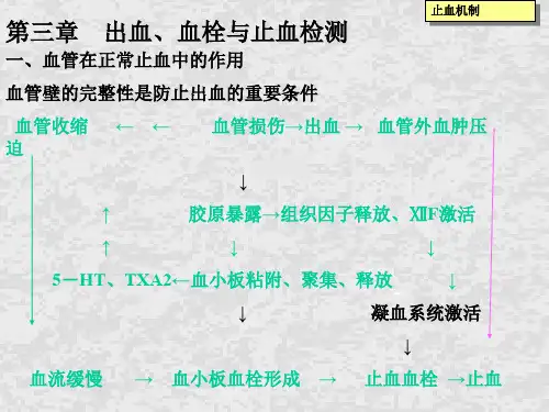 止血与凝血障碍检查