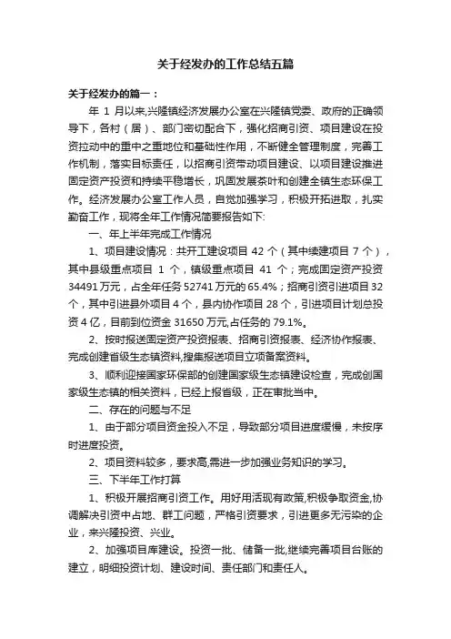 关于经发办的工作总结五篇
