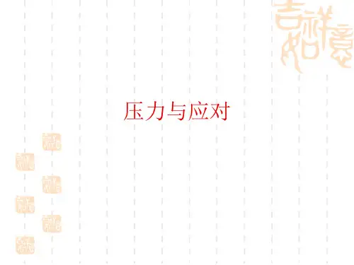 压力与应对PPT课件