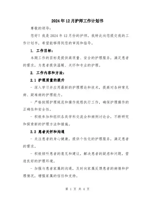 2024年12月护师工作计划书
