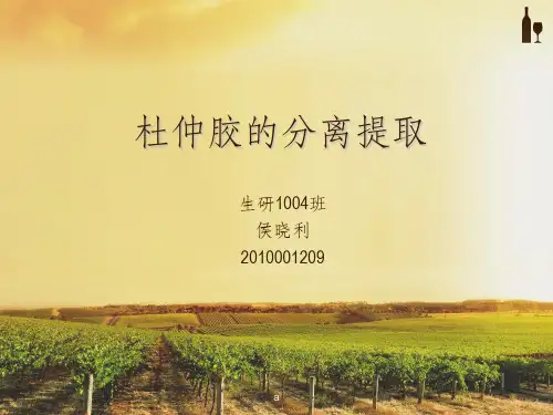 杜仲胶的分离提取