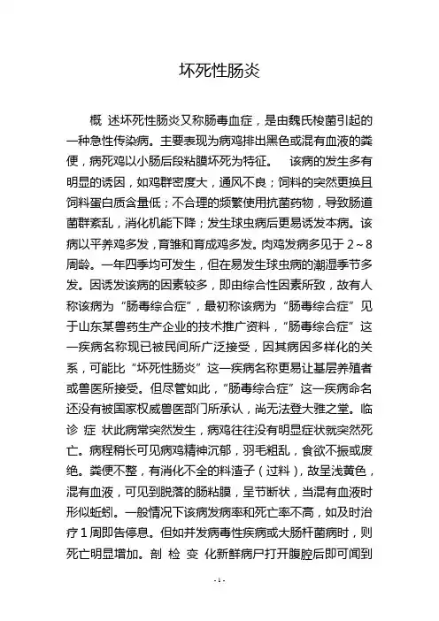 坏死性肠炎