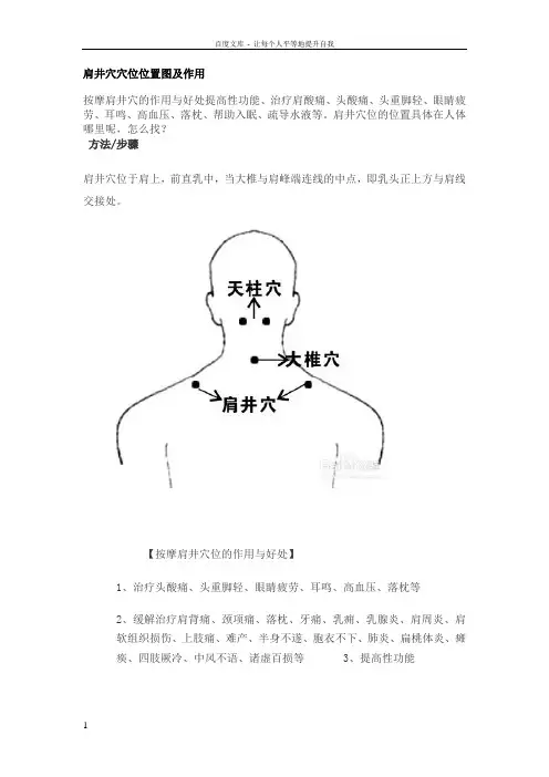 几个常见穴位的位置与作用