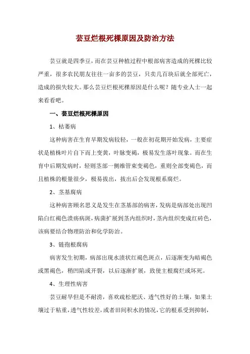 芸豆烂根死棵原因及防治方法