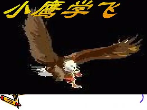 8小鹰学飞ppt