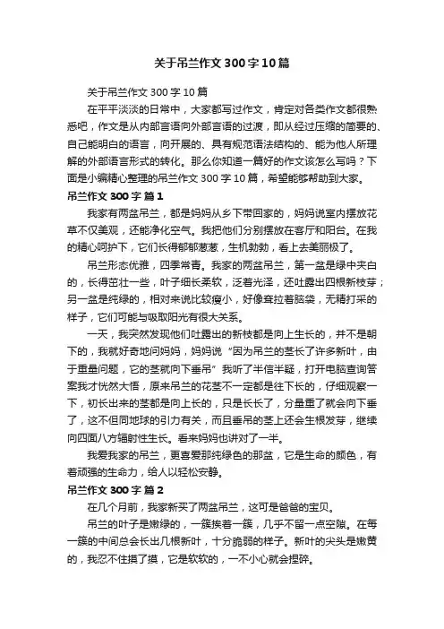 关于吊兰作文300字10篇