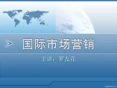 第六章国际市场营销调研