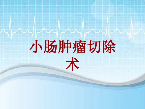 手术讲解模板：小肠肿瘤切除术