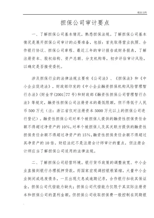 担保公司审计要点