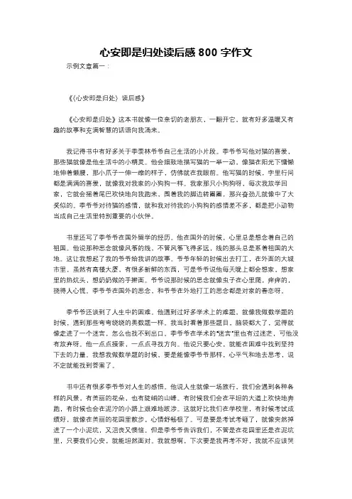 心安即是归处读后感800字作文