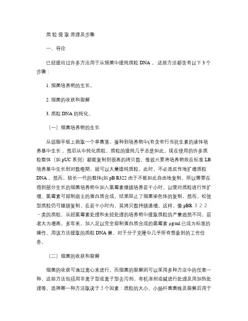 细菌质粒提取原理及步骤(精)