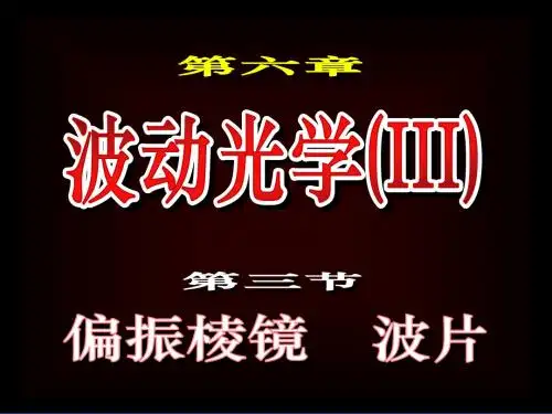 光的偏振3(2014)