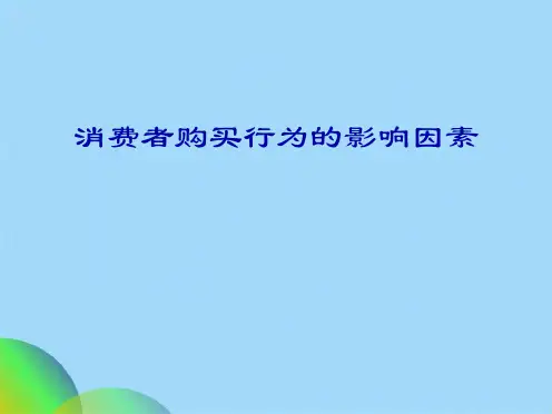 消费者购买行为PPT(共23张PPT)