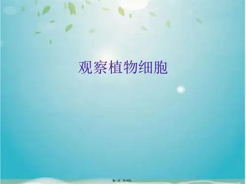 观察植物细胞(共16张PPT)