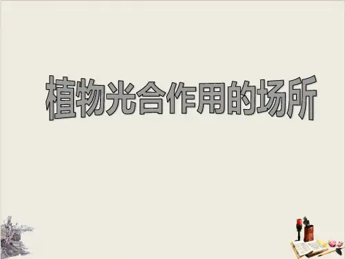 植物光合作用的场所_ppt.优质版