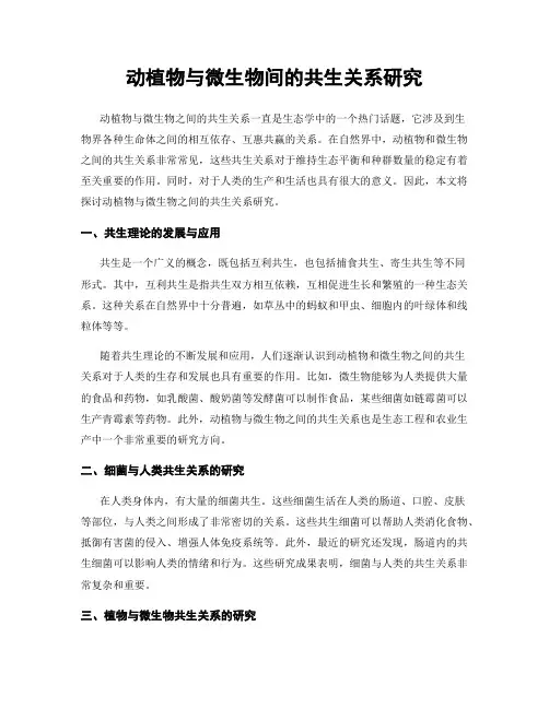 动植物与微生物间的共生关系研究