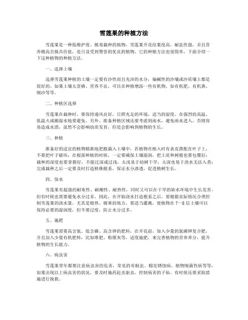 雪莲果的种植方法